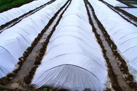 PE管与HDPE管区别在哪？一文给你讲清楚